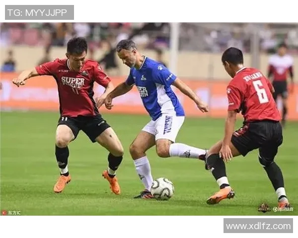 回顾2014年法国足球队的明星球员与精彩表现的传奇之旅