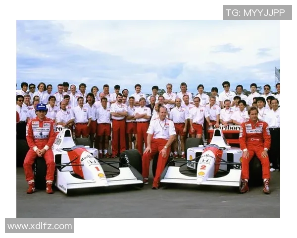 缅怀篮球明星的辉煌岁月与不朽传奇，铭记他们为运动奉献的激情与梦想