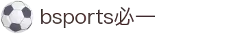 必一(运动科技有限公司)官方网站-B·Sport